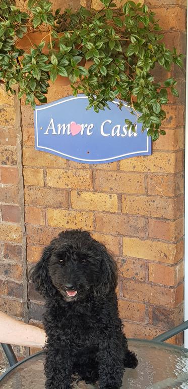 Amore Casa Tenterfield - Accommodation Burleigh 2