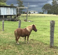 AMs Farm Stay - Accommodation Burleigh