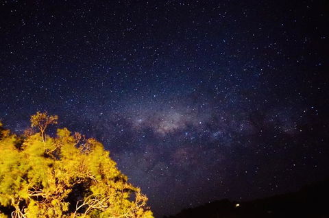 Apollo Panorama Guesthouse - Accommodation Burleigh 1