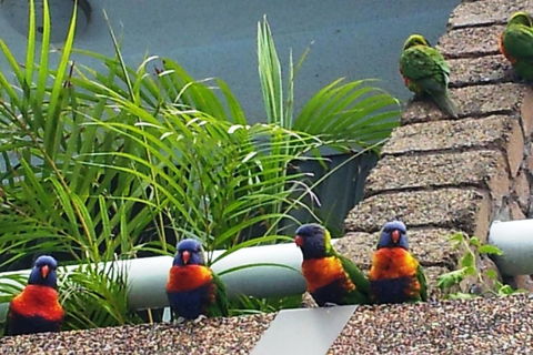 Aquajet Motel - Accommodation Burleigh 3