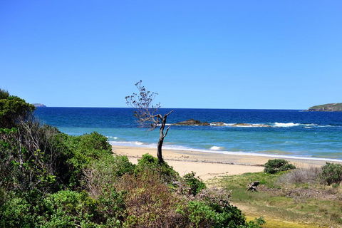 Aqualuna Beach Resort - Unit 25 - Accommodation Burleigh 3