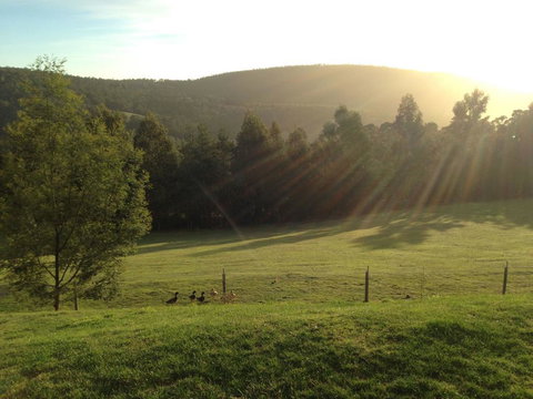 Arjuna Ridge Bed And Breakfast - Accommodation Burleigh 0