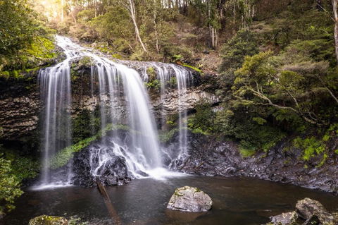 Moffat Falls Cottage Overlooking Waterfalls And Mountains - Accommodation Burleigh 1