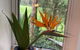 Nature Retreat & Artists Studio 90mins From Sydney - thumb 1