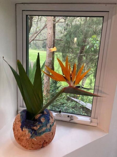Nature Retreat & Artists Studio 90mins From Sydney - Accommodation Burleigh 1