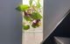 Nature Retreat & Artists Studio 90mins From Sydney - thumb 2