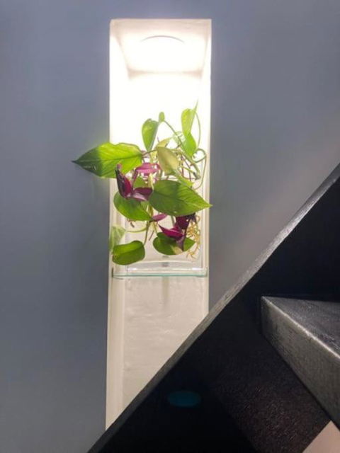 Nature Retreat & Artists Studio 90mins From Sydney - Accommodation Burleigh 2