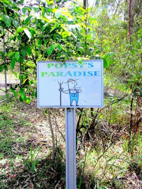Nature Retreat & Artists Studio 90mins From Sydney - Accommodation Burleigh 3