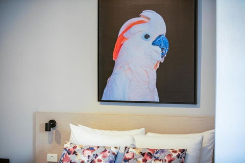 Nightcap At The Charles Hotel - Accommodation Burleigh 3