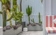 Palm Paradise: Luxury Villa Escape By The Beach - thumb 1