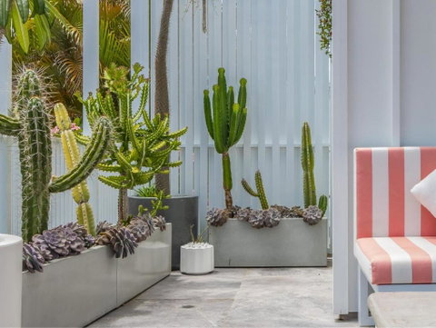 Palm Paradise: Luxury Villa Escape By The Beach - Accommodation Burleigh 1