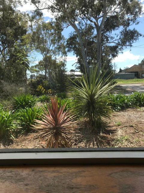 Paradise Grove - Accommodation Burleigh 2