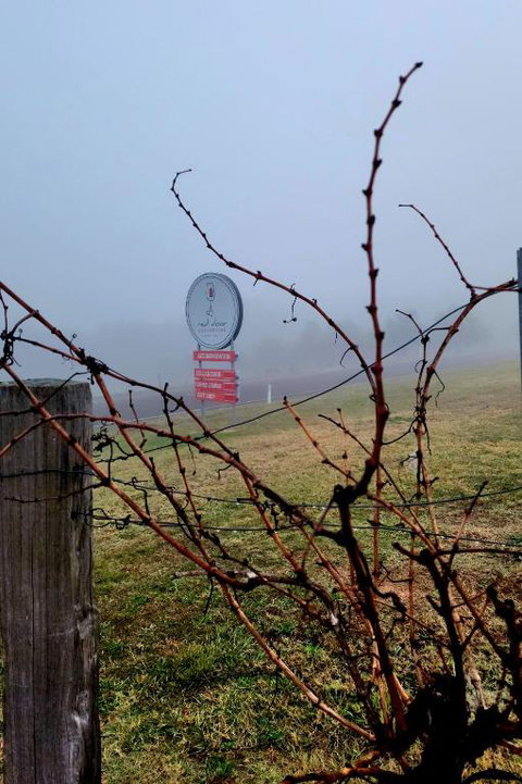 Red Door Collective - RDC Vineyard Estate, Luxury Adult Only Stay - Accommodation Burleigh 3