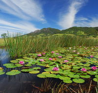 Barrington Hideaway- River Cottages - Accommodation Burleigh