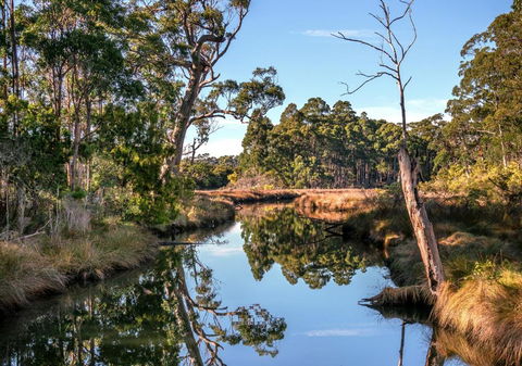 Saintys Creek Cottage - Accommodation Burleigh 3