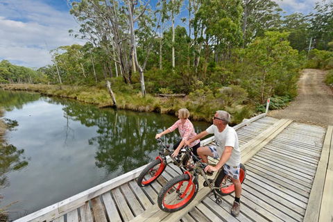 Saintys Creek Cottage - Accommodation Burleigh 2