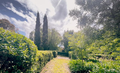 Sanctuary Park Cottages - Accommodation Burleigh 1