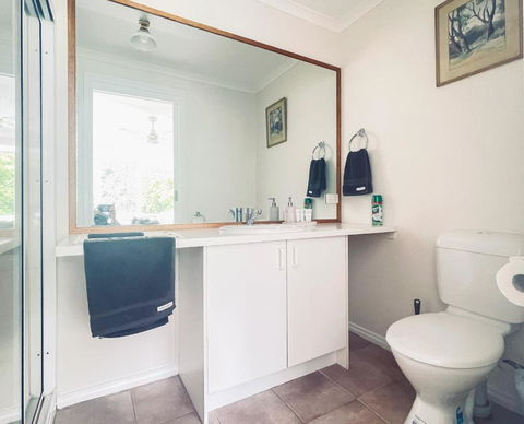 Sanctuary Park Cottages - Accommodation Burleigh 2