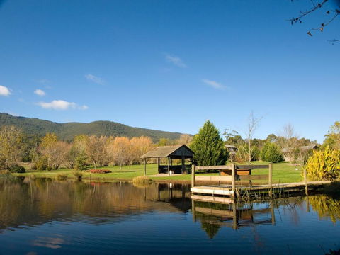 Sanctuary Park Cottages - Accommodation Burleigh 0