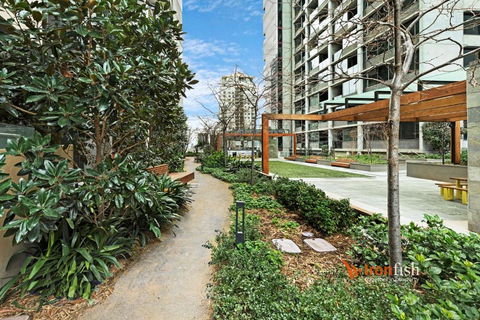 Sakura Apartment - Accommodation Burleigh 3