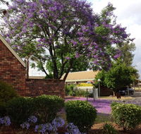 Belvoir Village Motel  Apartments Wodonga - Accommodation Burleigh