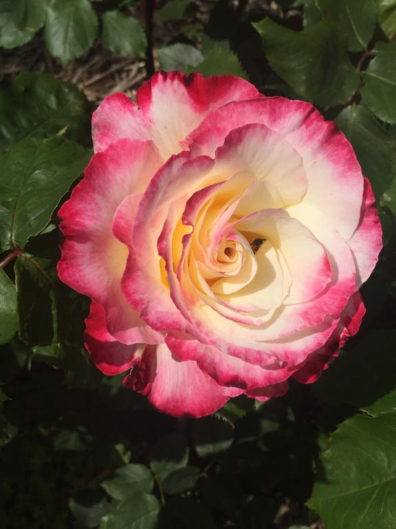 Yarck VIC Accommodation Burleigh