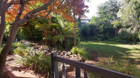 Bird N Branch - Accommodation Burleigh 1