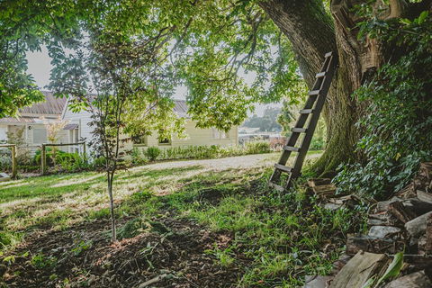 Blacksmiths Cottage - Accommodation Burleigh 1