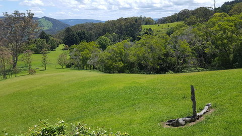 Blue Summit Cottages - Accommodation Burleigh 3