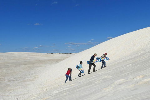 Private, Luxury Pinnacles Tour: Stargazing, Sand-boarding & Sightseeing - Accommodation Burleigh 4