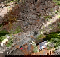 3-Day Kakadu 4WD Camping Safari from Darwin - Accommodation Burleigh