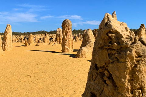 Pinnacles Desert (Private) Day Tour - Accommodation Burleigh 0