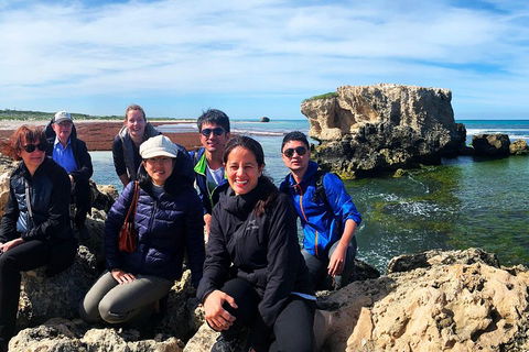 Pinnacles Desert (Private) Day Tour - Accommodation Burleigh 4