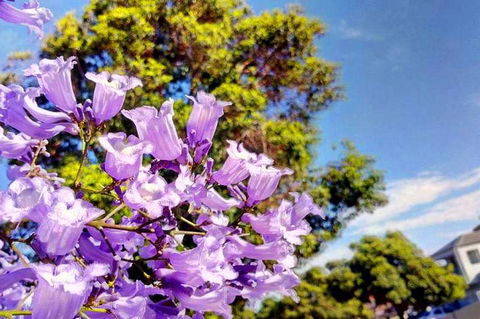 Big Perth (Private) Day Tour - Accommodation Burleigh 3