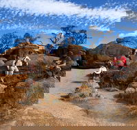 The Big Wave Rock Private Day Tour - Accommodation Burleigh