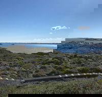 Penguin Island And Fremantle - Canoe Chocolate  Coffee - Accommodation Burleigh