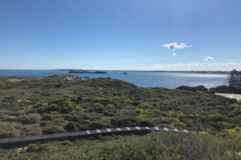 Penguin Island And Fremantle - Canoe, Chocolate & Coffee - Accommodation Burleigh 0