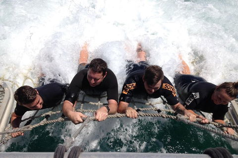Cruise In Moreton Bay Marine Park And Moreton Island - Accommodation Burleigh 0
