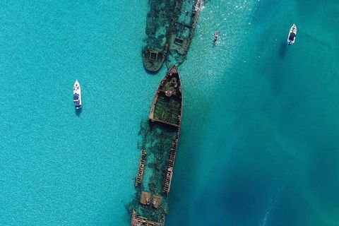 Cruise In Moreton Bay Marine Park And Moreton Island - Accommodation Burleigh 1