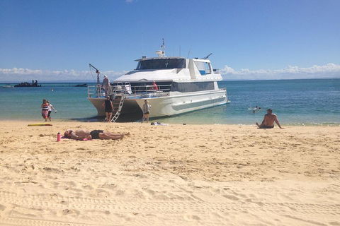 Cruise In Moreton Bay Marine Park And Moreton Island - Accommodation Burleigh 4