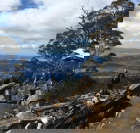 kunanyi / Mt Wellington Explorer Bus - 2 Hour Return Tour - Accommodation Burleigh