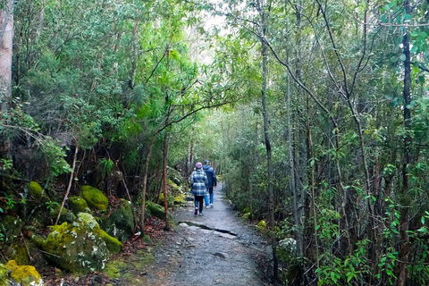 Kunanyi/Mt Wellington Tour & Hobart Hop-On Hop-Off Bus - Accommodation Burleigh 1