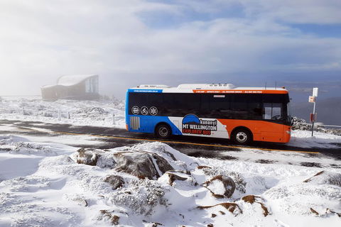 Kunanyi/Mt Wellington Tour & Hobart Hop-On Hop-Off Bus - Accommodation Burleigh 2