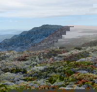 kunanyi/Mt Wellington Explorer Bus - One Way Tour - Accommodation Burleigh