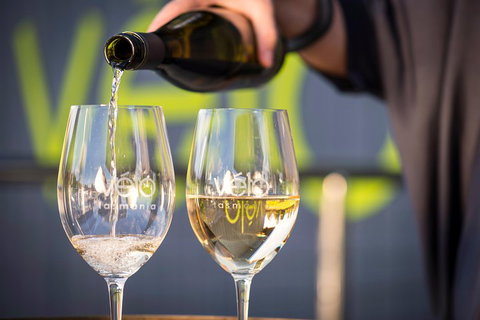 Half Day Tamar Valley Wine Tour - Accommodation Burleigh 0