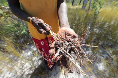 Gay-Wu Woman's 5 Day Yolngu Homeland Tour - Accommodation Burleigh 0