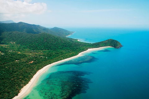 Cape Tribulation, Mossman Gorge, And Daintree Rainforest Premium Day Tour - Accommodation Burleigh 2