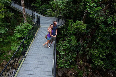Cape Tribulation, Mossman Gorge, And Daintree Rainforest Premium Day Tour - Accommodation Burleigh 3