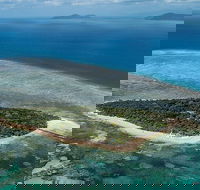 4-Day Cairns with Great Barrier Reef and Daintree Rainforest - Accommodation Burleigh