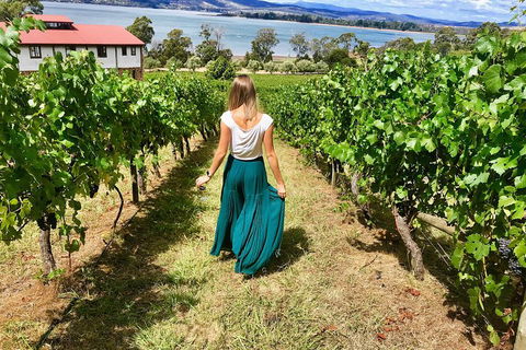 Tamar Valley Wine Tour With Lunch - Accommodation Burleigh 2